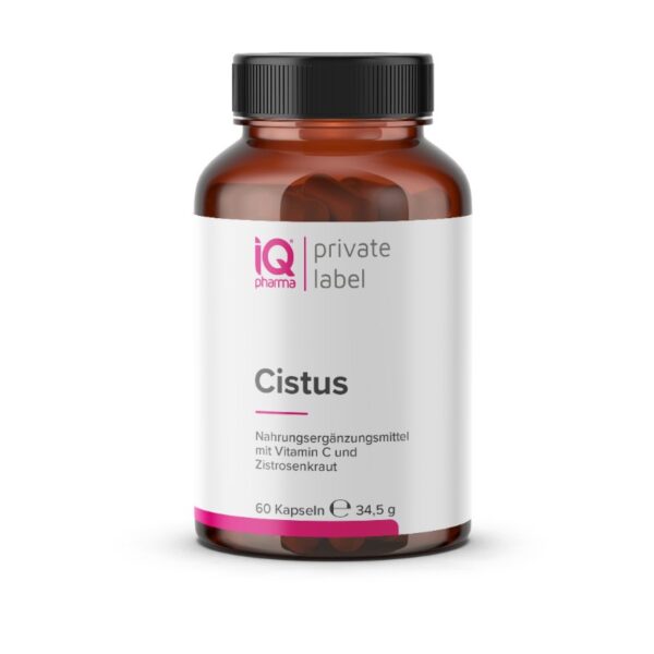 Cistus